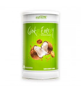 Ginkg Energy - 1