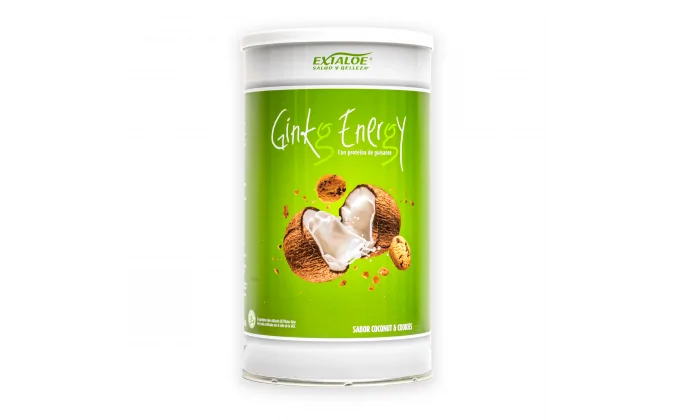 Ginkg Energy - 1