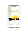 Ginkgo Energy - 2