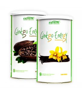 Ginkgo Energy - 5