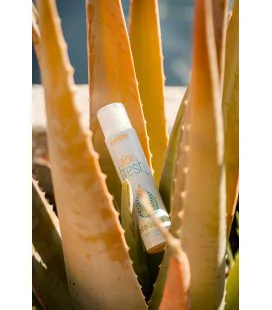 MUESTRA Aloe Fresh gel limpiador, 30 ml - 6