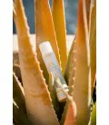 Aloe Fresh gel limpiador (Tamaño viaje) - 6