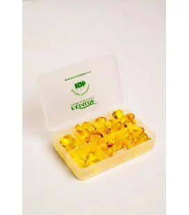 Exialoe "Recargas saludables" pillbox, 7 pill compartments - 2