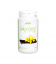 MUESTRA Batido Ginkgo Energy Vainilla