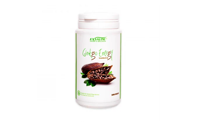 MUESTRA Batido Ginkgo Energy Chocolate - 1