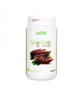 MUESTRA Batido Ginkgo Energy Chocolate - 1