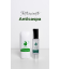 Traitement antipelliculaire, Shampooing + Lotion