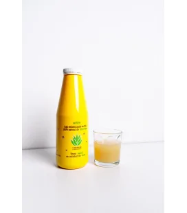 Jugo Aloe + Jalea Real y Vitaminas