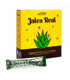 Geleia Real + Aloé + Vitaminas