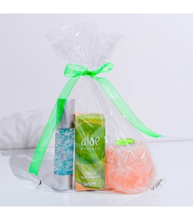 Pack Aloe Essence EVEREST