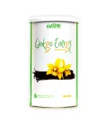 Ginkgo Energy