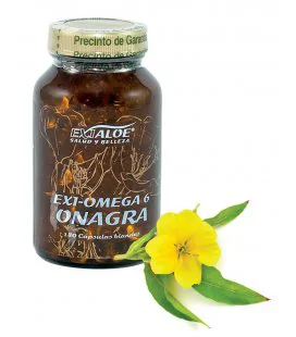 Exiomega 6 
