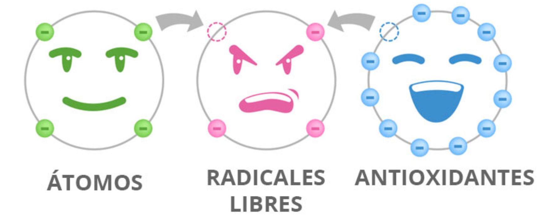 El dibujo de un átomo, un radical libre con un electrón menos y un antioxidante con un montón de electrones. El radical libre quiere quedarse con el electrón del átomo pero el antioxidante le da uno de los suyos