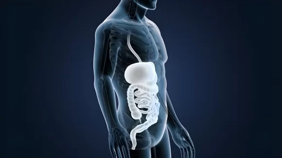 Intestinal flora: Functions and benefits