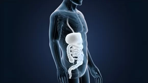 Flora intestinal: Funções e benefícios