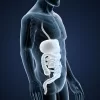 Intestinal flora: Functions and benefits