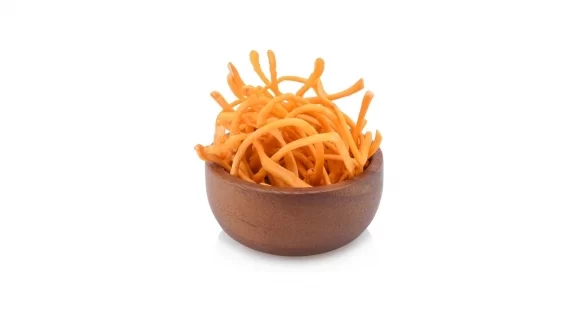 Cordyceps sinensis
