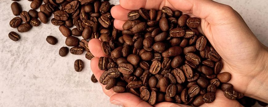 Kaffe: Energi, antioksidanter og kultur i en bønne - Exialoe