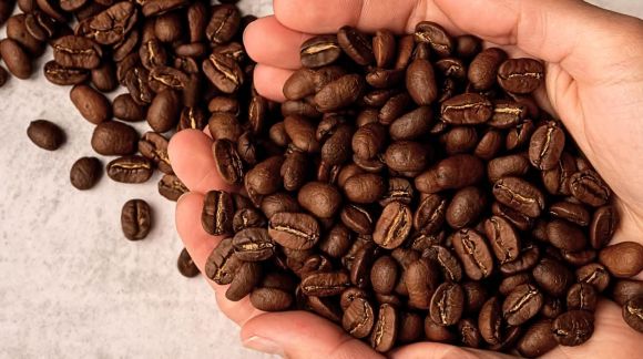 El Café: Energía, Antioxidantes y Cultura en un Grano