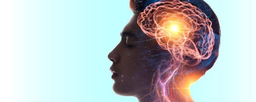 5 Hábitos para Cuidar tu Cerebro