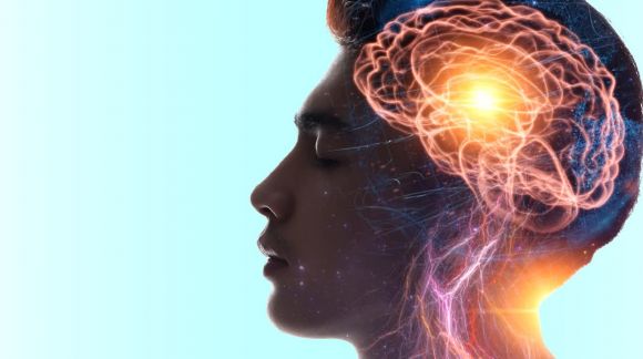 5 H&aacute;bitos para Cuidar tu Cerebro