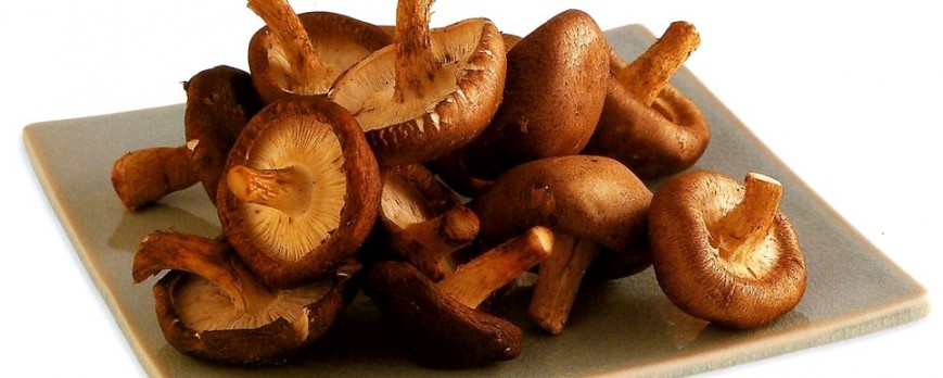 Propiedades del Shiitake