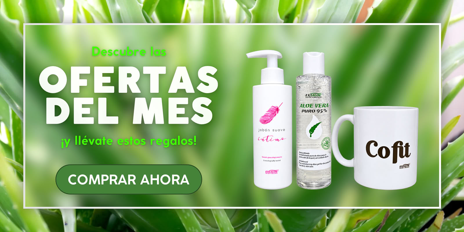 Ofertas Febrero
