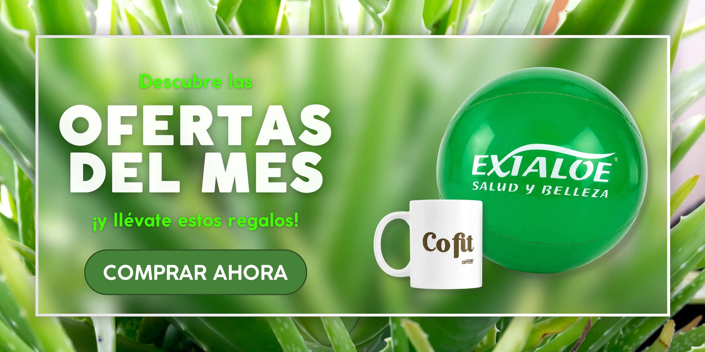 Ofertas