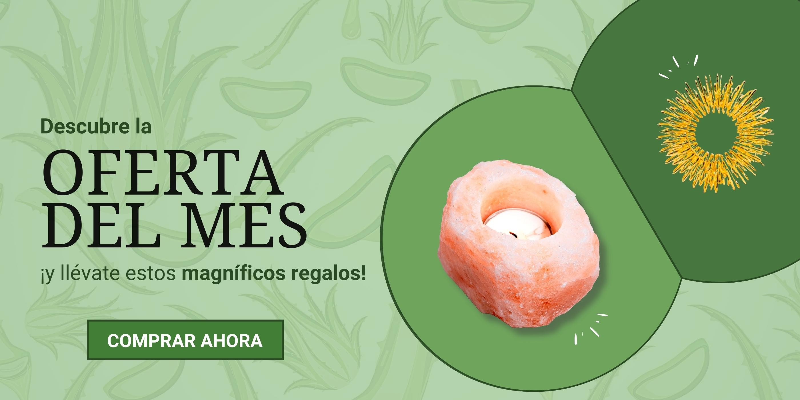 Green Day´s día 21