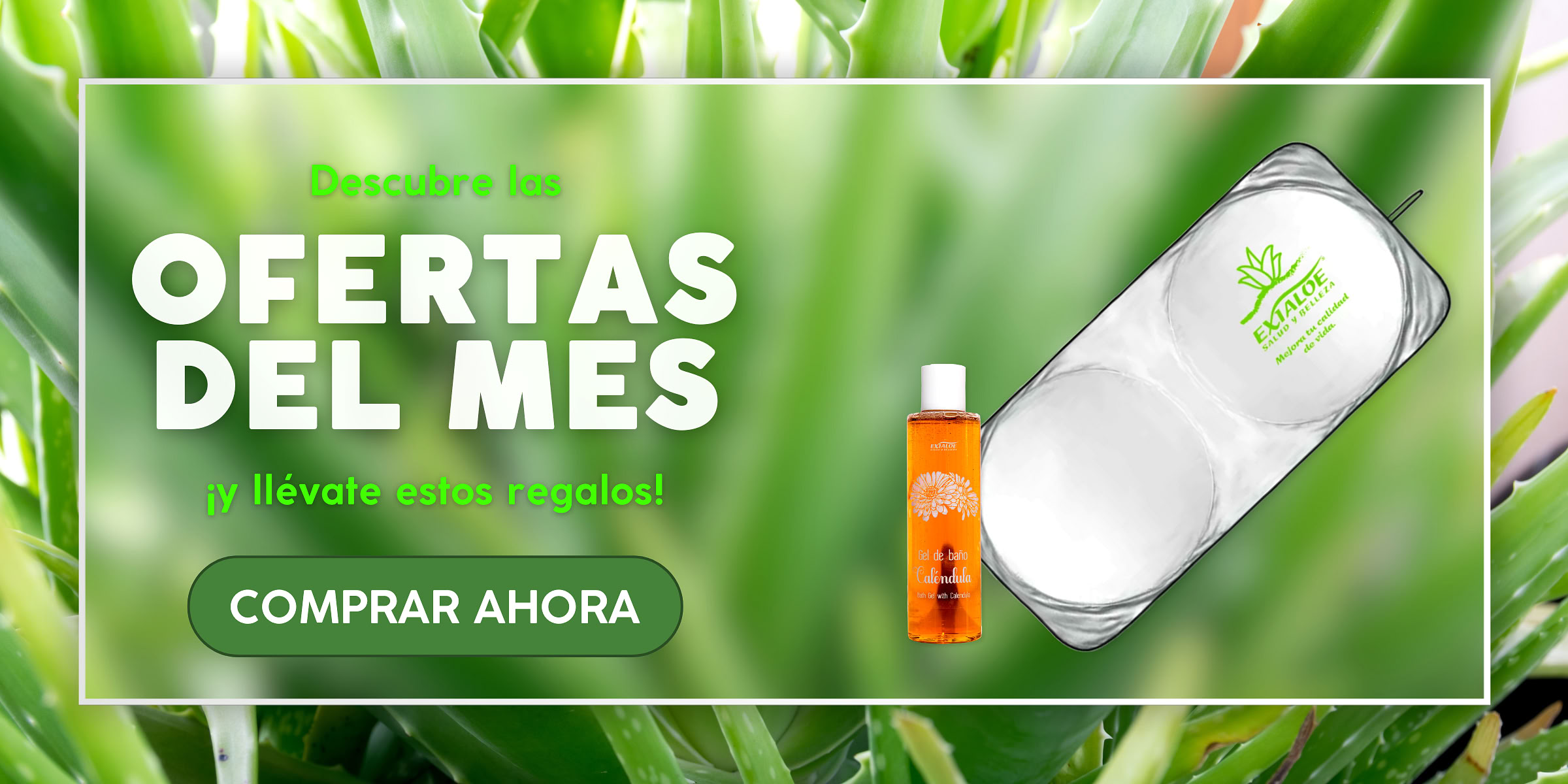 Ofertas Febrero
